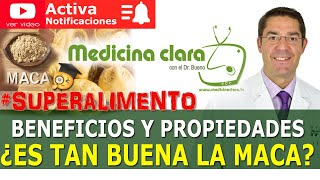 MACA ¿es realmente la VIAGRA NATURAL ¿GINSENG PERUANO el SUPERALIMENTO del futuro  Medicina Clara [upl. by Ecinrev]