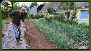 Semis des betteraves et des panais au potager Travailler ou non son sol  Les deux mon capitaine [upl. by Searle108]