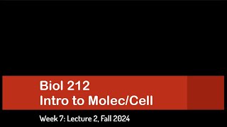 CSULB Biol 212 Fall 2024  Week 7 Lecture 2 [upl. by Akienahs820]