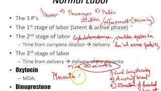 USMLE Review  Obstetrics Labor [upl. by Aivull]