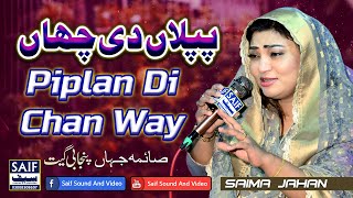 Piplan Di Chan Way  Saima Jahan  Zilay Shah  Superhit Punjabi Song 2024 [upl. by Yleve]