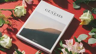 Genesis Chapter 30 The Children of Jacob [upl. by Ennaylil240]