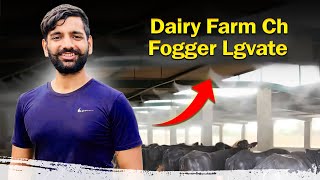 Installed fogger system in our dairy farm [upl. by Llohcin]