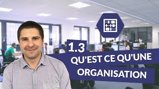 Chapitre 1  Quest ce quune organisation 33  Management Bac STMG  digiSchool [upl. by Jehial]