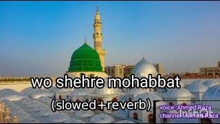 wo shehr e mohabbat by Ahmedraza and jameel qadrinewnaatAhmedproductionAhmedraza jameel [upl. by Bozovich273]