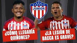 ¿Cómo Llegaría Jeisson Quiñones al Junior ¿La Lesión de Carlos Bacca es Grave  100Tiburon [upl. by Nodnorb]