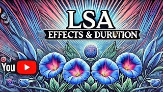 The Effects and Duration of LSA What You Need To Know [upl. by Allard884]