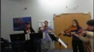 Stamitz viola concerto for 4 violas  Stamitz circus [upl. by Edelson]