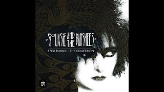 Siouxsie and the Banshees  Spellbound  basscover 🎸🎵🎼 [upl. by Stoecker730]