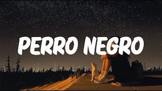 Bad Bunny x Feid  PERRO NEGRO LetraLyrics [upl. by Krystle]