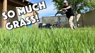 Mowing FOOT TALL GRASS  Toro 60V Super Recycler [upl. by Annahtur]