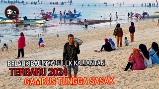 🥎BELAUK BAU NYALE LEK KALIANTAN TERBARU 2024 GAMBUS TUNGGAL SASAK teradisi lombok populer [upl. by Asirram]