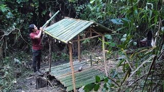 7 Days of Survival Making Bamboo Roofs amp Traps to Find Food in the Forest Part 1 [upl. by Akinad]