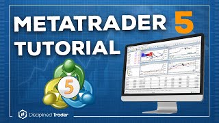 Complete MetaTrader 5 Tutorial For Beginners  2024 Edition [upl. by Stockmon]