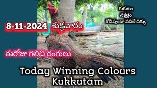 8112024 Kukkuta sastram Today winning colour in telugu  Kukkuta Sastra kukkutam [upl. by Laitselec802]