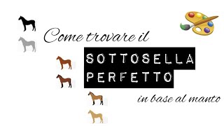 Come trovare il colore di sottosella adatto al tuo cavallo Equestrian Lara [upl. by Michelsen]