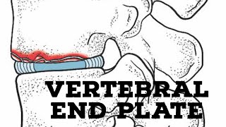 Vertebral end plate [upl. by Armbruster]
