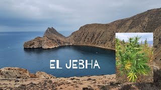 El Jebha in nasadi konoplje [upl. by Lednahc875]