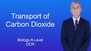 A Level Biology Revision quotTransport of Carbon Dioxide OCRquot [upl. by Ynaiffit]