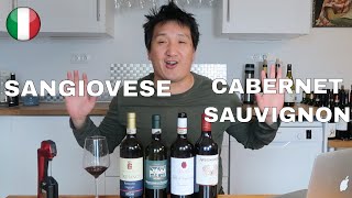 Sangiovese amp Cabernet Sauvignon Super Tuscan Red Wine Blend [upl. by Bluh691]