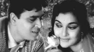 Husnwale Tera Jawab Nahin  Md Rafi Rajendra Kumar Asha Parekh Gharana Song 1 [upl. by Rothschild193]