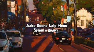 Aake Seene Lale Menu  Rim Jhim Khan Shaab Pav Dharia  Slowed x Reverb  Lofi Music Pvtcom [upl. by Shultz926]