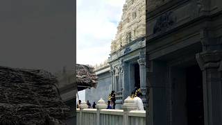 ISKCON Bangalore iskcon harekrishna bangalore radhakrishna love trending shorts shortvideo [upl. by Sadiras]