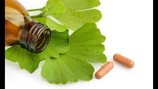 The role of herbs bacopa and ginkgo biloba on memory enhancement [upl. by Schreiber]