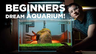 BEGINNERS dream AQUARIUM Watch how I built it in just a few SIMPLE STEPS [upl. by Eilram]