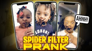 SPIDER FILTER PRANK  Funny Reactions 😅🤪 [upl. by Eurd709]