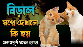 স্বপ্নে বিড়াল দেখলে কি হয়  shopne biral dekhle ki Hoy  dreams explaination of the cat [upl. by Meehan]