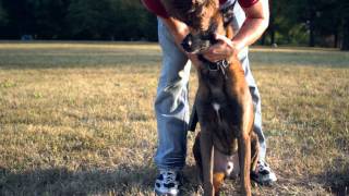 A Man and His Dog [upl. by Finlay405]