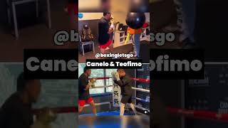 🥊 Boxing Let’s Go 👉 Canelo Alvarez and Teofimo A Lopez training together canelo teofimopez [upl. by Anaoy337]