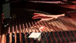 Bösendorfer rocks  Low Octave Black Keys Imperial Liszt Ballade 290 Lisitsa [upl. by Sabir]