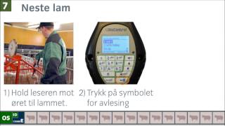 VEIING Slik overfører du data mellom HHR 3000 Pro og Sauekontrollen [upl. by Zulaledairam65]