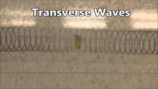 Transverse and Compression Waves Class Labs on Oct 27 and 28 [upl. by Rutger]