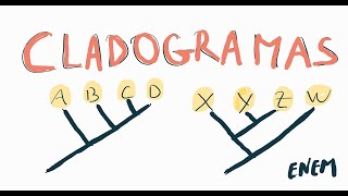 CLADOGRAMAS NO ENEM [upl. by Rett748]