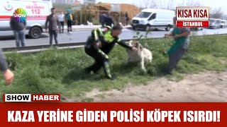 Kaza yerine giden Polisi köpek ısırdı [upl. by Aryl]