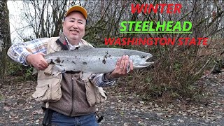 STEELHEAD Fishing Washington State Small River 💪🏼🎣 [upl. by Andi]