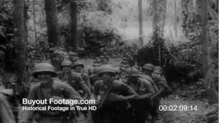 HD Stock Footage WWII Marines on Guadalcanal Push Back Japanese Troops [upl. by Gerdeen350]