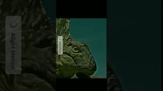 Arthropleura Vs Dimetrodon Edit  My First Ever Shake effect Edit edit fypシ viral [upl. by Dahsraf]