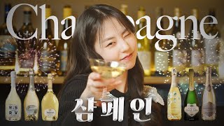 내가 모임 때 가져가는 최애 샴페인 6종💖🍾  페리에주에 필리조에필스 RSRV 디에볼발루아 루이나트 [upl. by Arriaet]