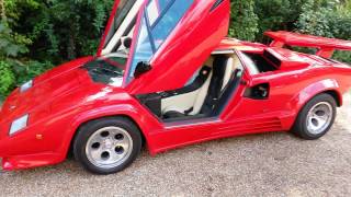 Lamborghini Countach 885 side skirts [upl. by Nnaeel]