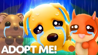 😢NO MORE NEW UPDATES😐REAL TRUTH BEHIND SAD PET THUMBNAILS IN ADOPT ME MUST WATCH ROBLOX [upl. by Guillermo]