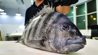 How a Professional Fillets a Sheepshead Toughest Scales [upl. by Siddra]