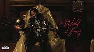 Rich The Kid  Fall Threw ft Young Thug amp Gunna Audio [upl. by Alyl566]