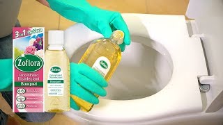 THE 5 MINUTE DEEP CLEAN FOR YOUR TOILET  Disinfect the loo with Zoflora [upl. by Vin799]