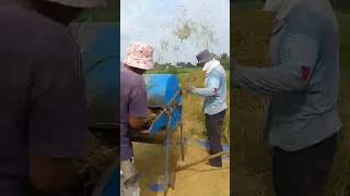 Pagsalansan ng palay sa makina satisfying farmerslife shorts [upl. by Pandolfi631]