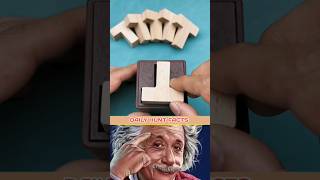 सब  T  को कैसे फिट करें 💯🏆 Albert Einstein trollface trollfaceedit shorts troll memes [upl. by Eehtomit]