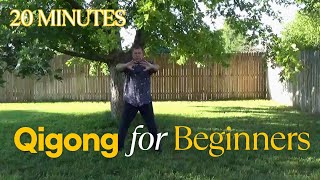 20 Minute Qigong for Beginners and Seniors  Energy Center® [upl. by Savanna657]